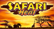 Safari Heat Slot
