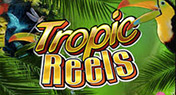 Tropic Reels Slot