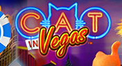 Cat In Vegas