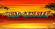Wild Gambler