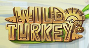 Wild Turkey