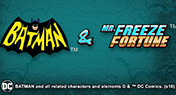 Batman vs Mr Freeze Fortune