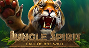 Jungle Spirit Slot