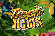 Tropicreels Rtp